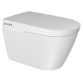 Smart Toilets