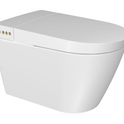 Smart Toilets