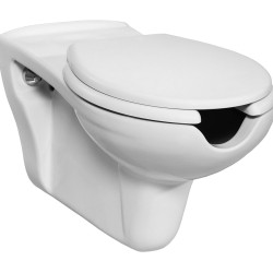 Wheelchair Friendly Toilets